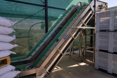 IMG-20190720-WA0008